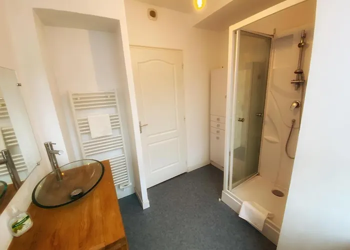 Apartment Le Perchoir-poitiers-laconciergerie